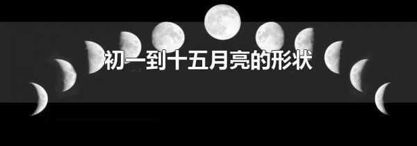 初一到十五月亮的形状