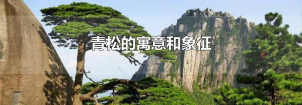 青松的寓意和象征