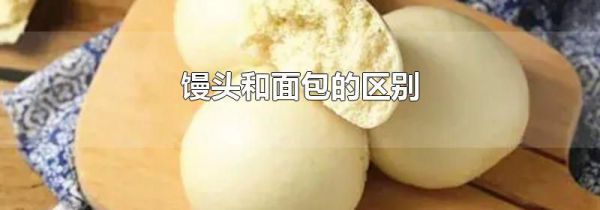 馒头和面包的区别