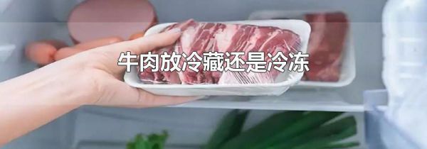 牛肉放冷藏还是冷冻