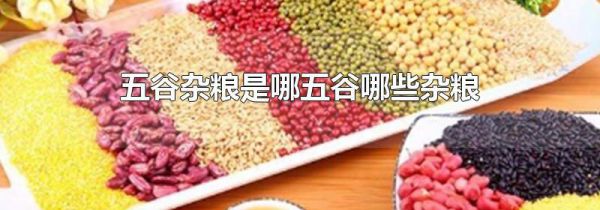 五谷杂粮是哪五谷哪些杂粮