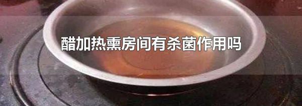 醋加热熏房间有杀菌作用吗