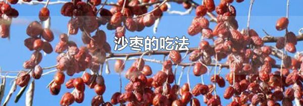 沙枣的吃法