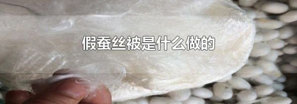 假蚕丝被是什么做的