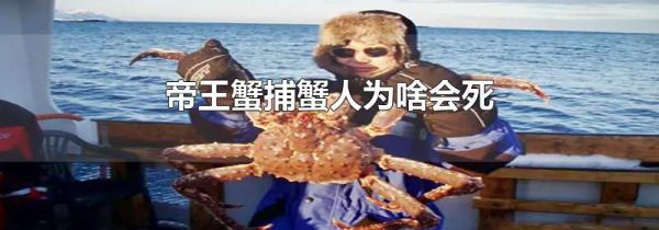 帝王蟹捕蟹人为啥会死