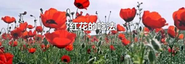 红花的吃法