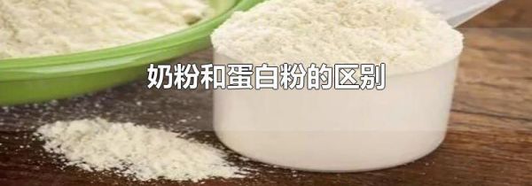 奶粉和蛋白粉的区别