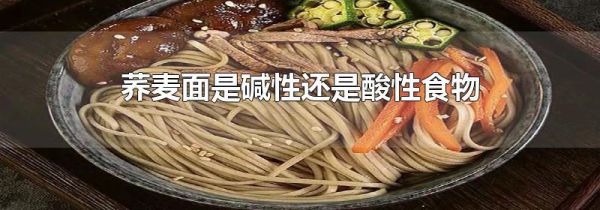 荞麦面是碱性还是酸性食物