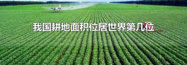 我国耕地面积位居世界第几位