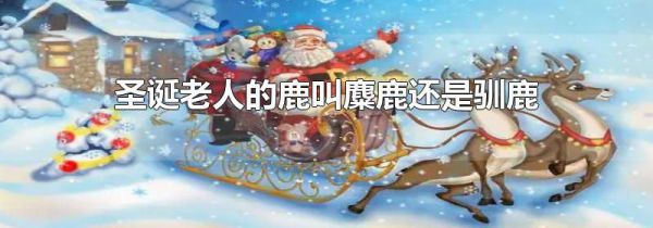 圣诞老人的鹿叫麋鹿还是驯鹿