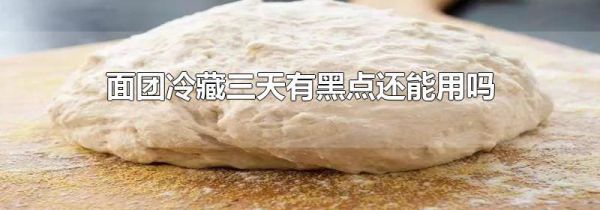 面团冷藏三天有黑点还能用吗