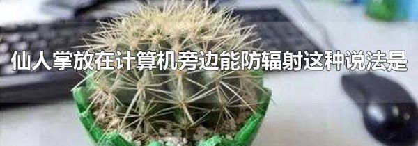 仙人掌放在计算机旁边能防辐射这种说法是