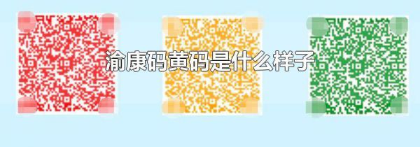 渝康码黄码是什么样子