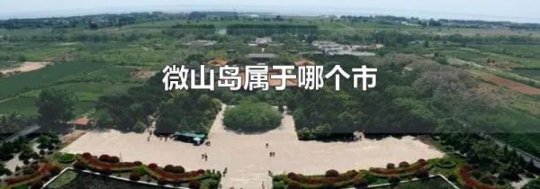 微山岛属于哪个市