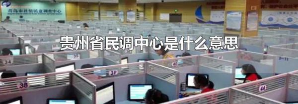 贵州省民调中心是什么意思