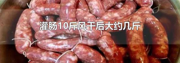 灌肠10斤风干后大约几斤
