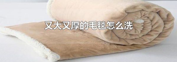又大又厚的毛毯怎么洗