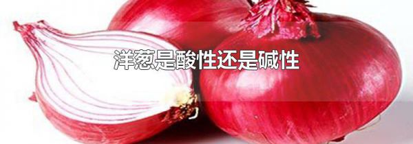 洋葱是酸性还是碱性