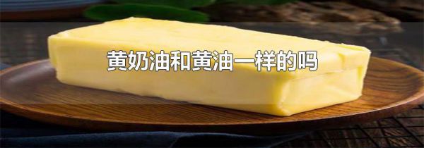 黄奶油和黄油一样的吗
