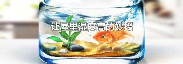 让屋里湿度高的妙招