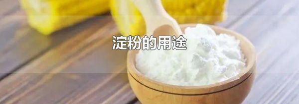 淀粉的用途