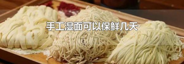 手工湿面可以保鲜几天