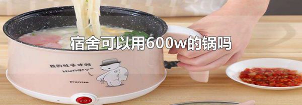 宿舍可以用600w的锅吗