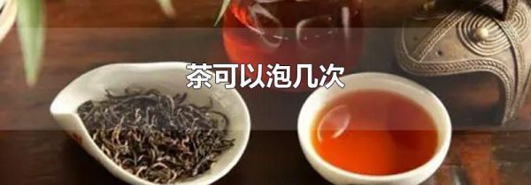 茶可以泡几次