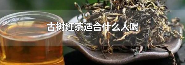 古树红茶适合什么人喝