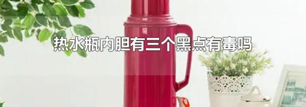 热水瓶内胆有三个黑点有毒吗