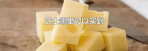 芝士哪里可以买到