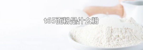 t65面粉是什么粉
