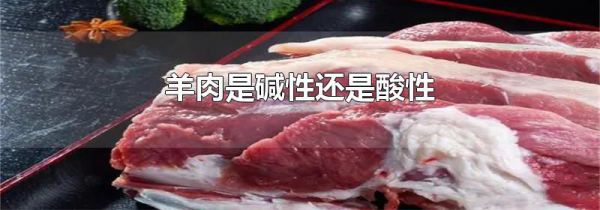 羊肉是碱性还是酸性