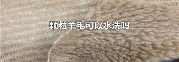 颗粒羊毛可以水洗吗