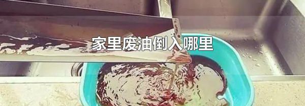 家里废油倒入哪里