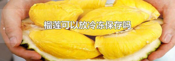 榴莲可以放冷冻保存吗