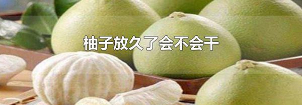 柚子放久了会不会干