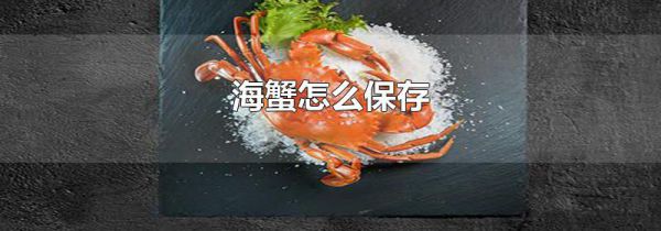 海蟹怎么保存