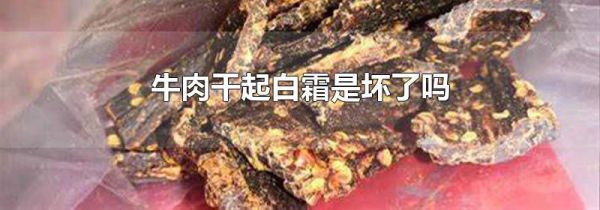牛肉干起白霜是坏了吗