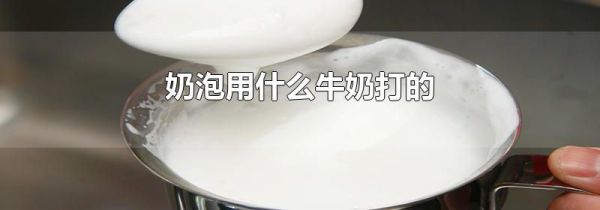 奶泡用什么牛奶打的