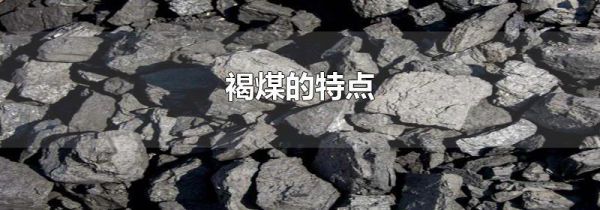 褐煤的特点
