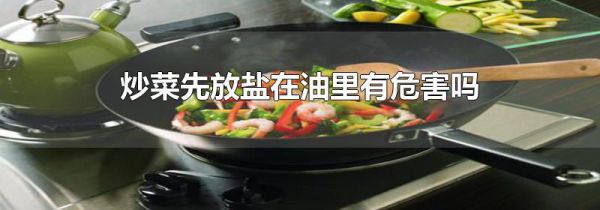 炒菜先放盐在油里有危害吗