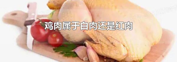 鸡肉属于白肉还是红肉