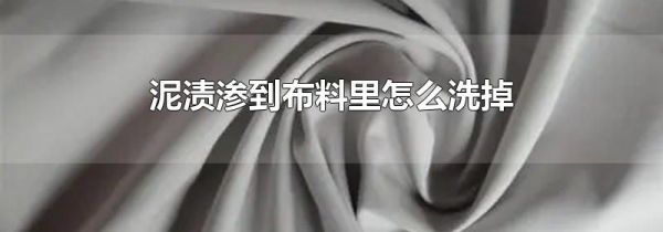 泥渍渗到布料里怎么洗掉