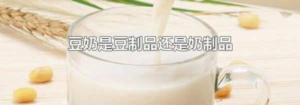 豆奶是豆制品还是奶制品