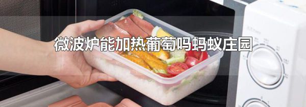 微波炉能加热葡萄吗蚂蚁庄园