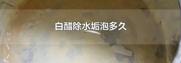 白醋除水垢泡多久