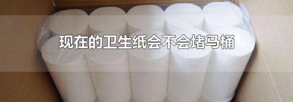 现在的卫生纸会不会堵马桶