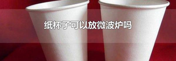 纸杯子可以放微波炉吗