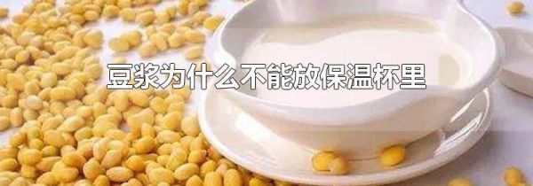 豆浆为什么不能放保温杯里